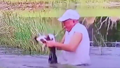 Man springt in het water en redt puppy uit greep alligator