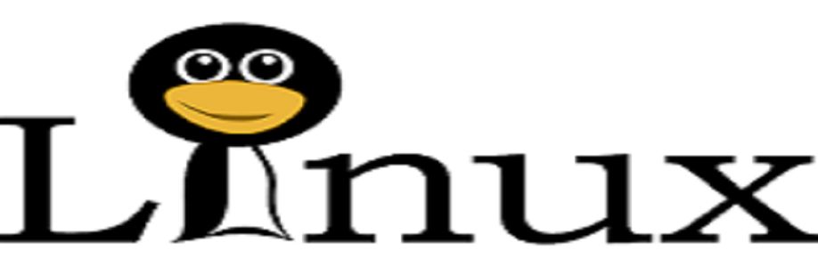 De Linuxadviseur Cover Image