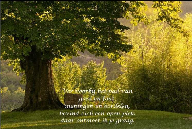 De Duizend Quotes - 0496