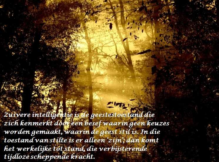 De Duizend Quotes - 0543