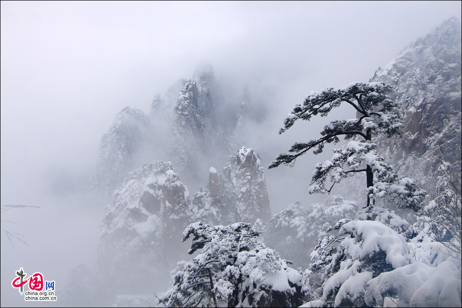 Leven in harmonie met de seizoenen -- Winter | Acupunctuur Blog