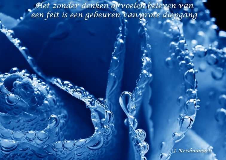 De Duizend Quotes - 0525