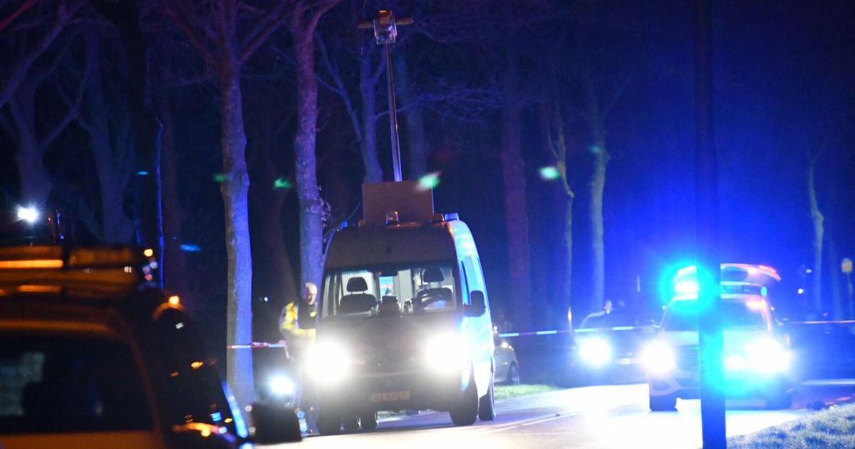 Man doodgereden voor ogen echtgenote in Vroomshoop | Binnenland | Telegraaf.nl