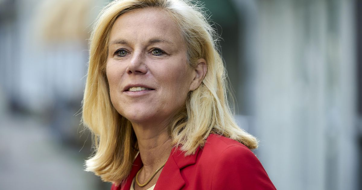 Kaag: zou gezond zijn als premier maximaal twee termijnen regeert | Binnenland | Telegraaf.nl