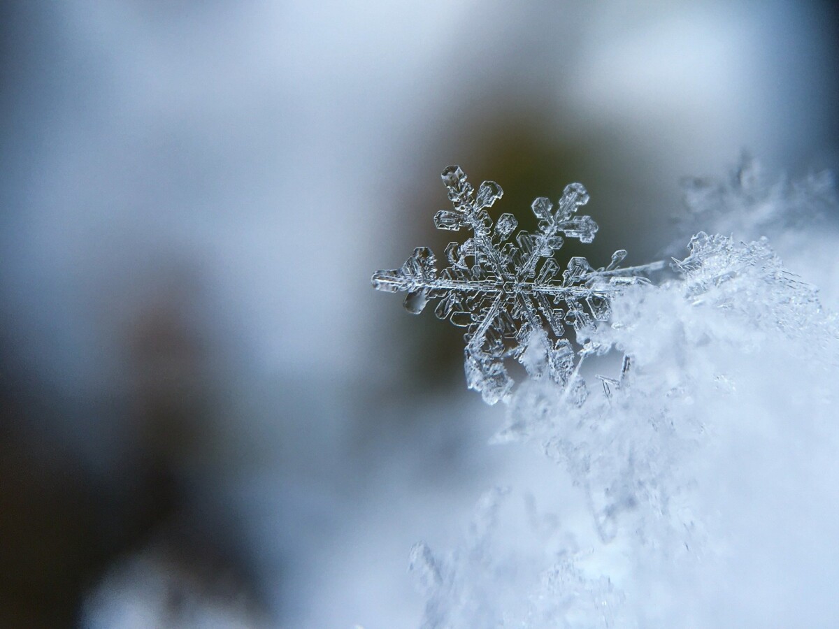 Dramatische verandering boven de Noordpool kan ons weleens op extreme kou en sneeuw trakteren