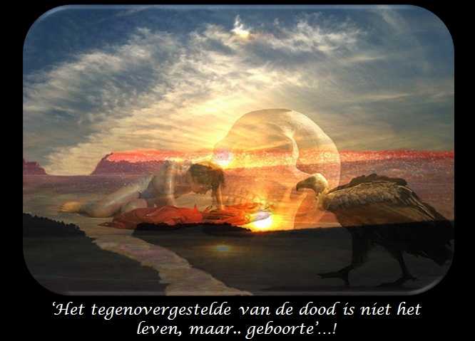 De Duizend Quotes - 0559