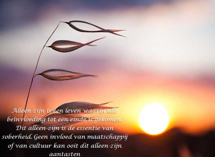 De Duizend Quotes - 0566