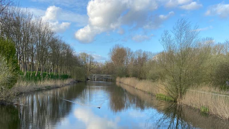 Utrechter (28) aangehouden voor vrouwenmishandelingen in Lunetten