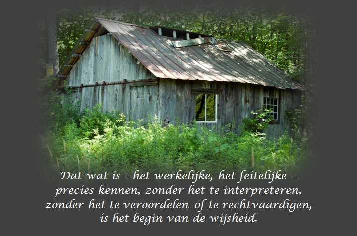 De Duizend Quotes - 0582