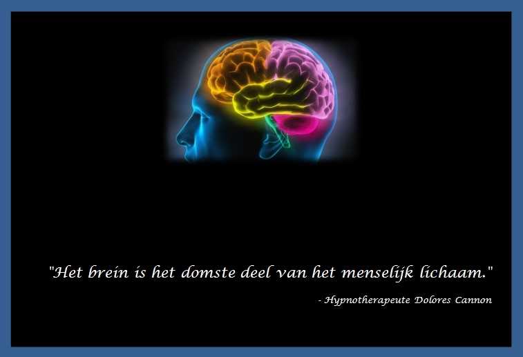 De Duizend Quotes - 0589