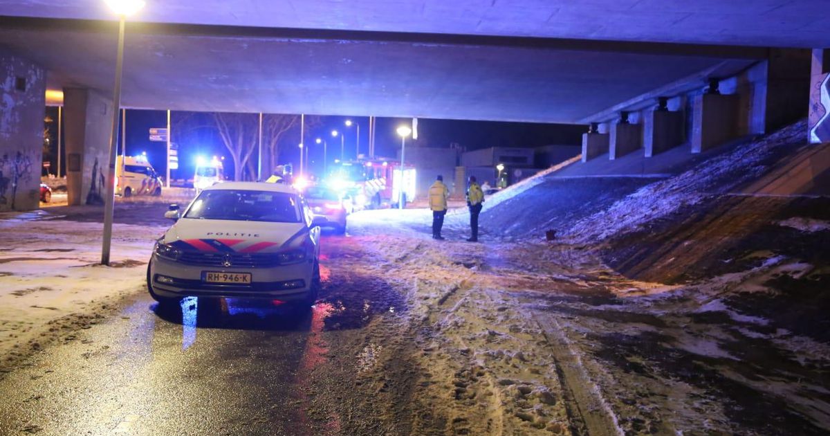 Dode bij ongeval op spoor langs A4 | Binnenland | Telegraaf.nl