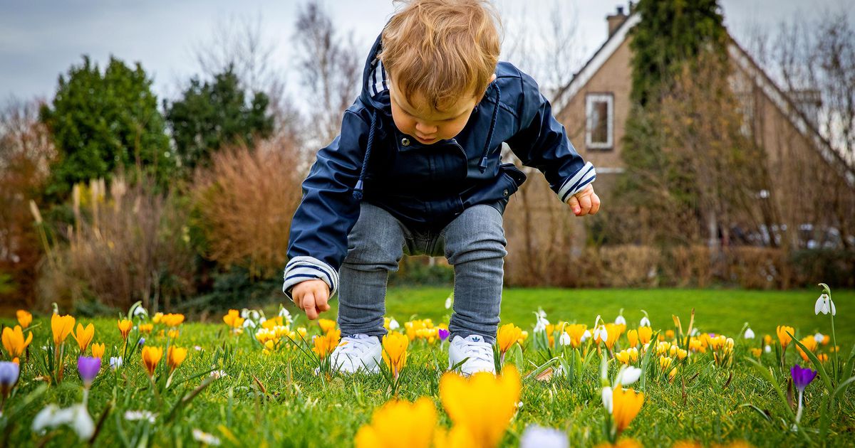 Vandaag eerste dag met lentetemperaturen | Binnenland | Telegraaf.nl