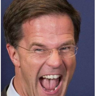 De val van de regering Rutte en zijn terugkeer als corona-tsaar