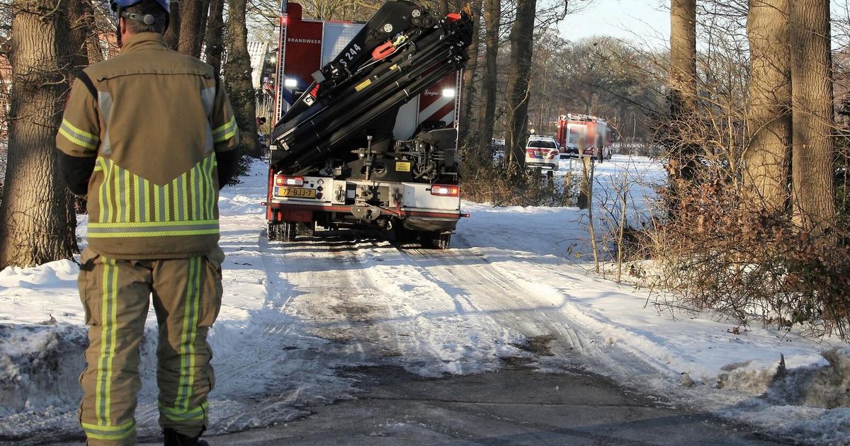 Man dood door omgevallen boom | Binnenland | Telegraaf.nl