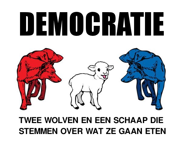 De lamgeslagen democratie | SDB