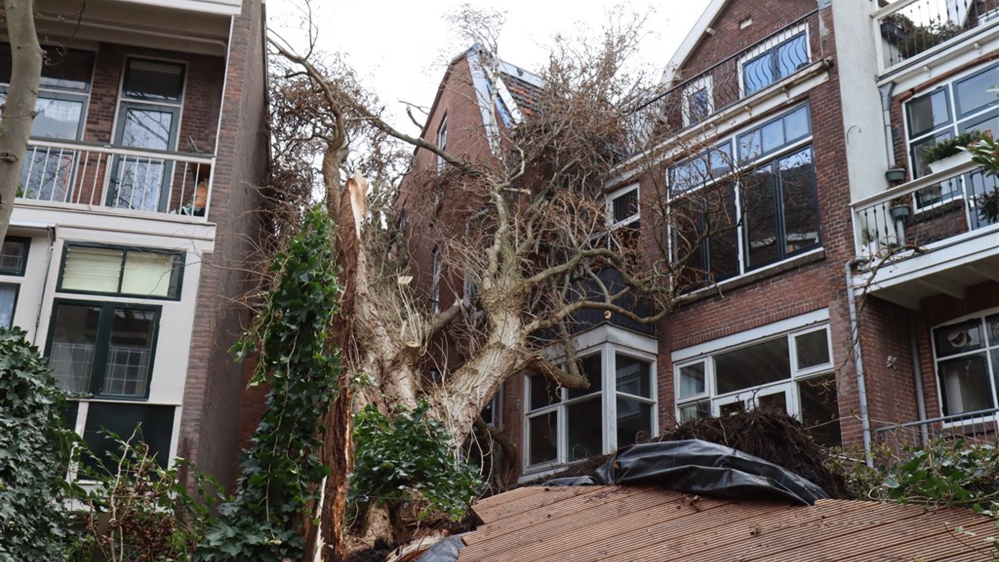 Windstoten tot 120 km/u: eerste officiële storm van 2021 | RTL Nieuws