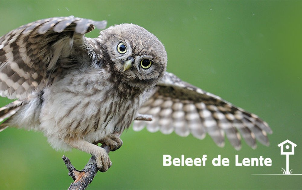 Beleef de Lente | Vogelbescherming