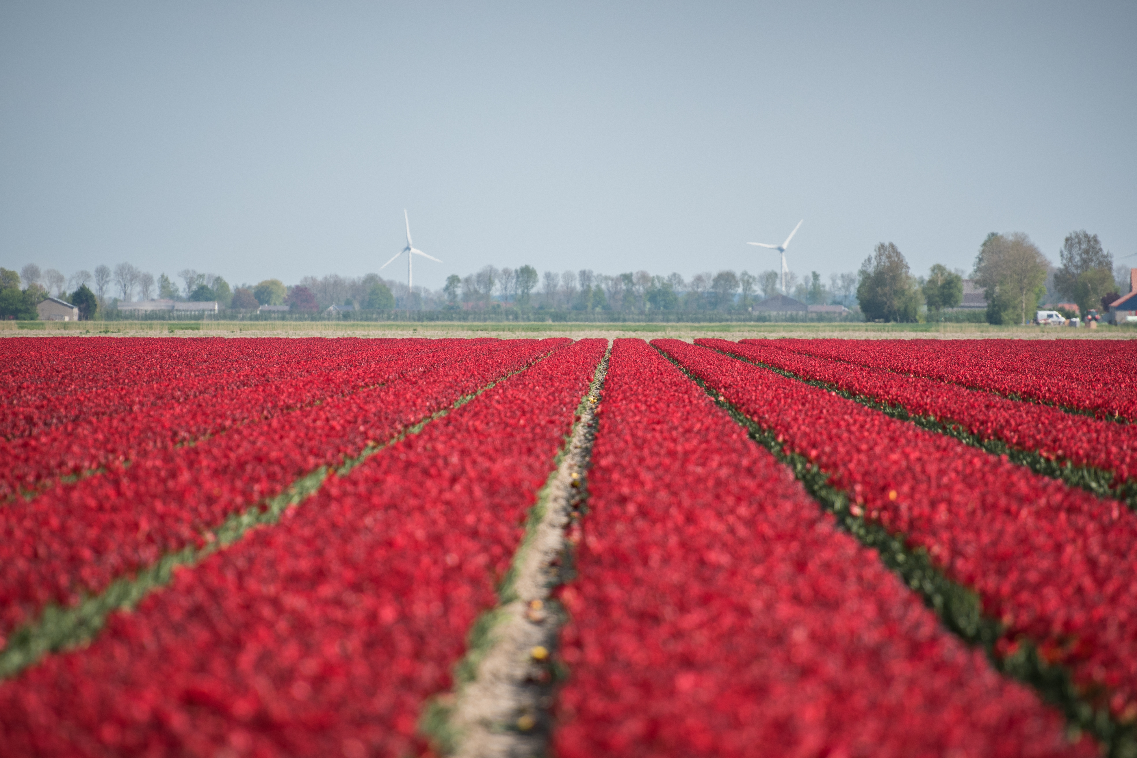 Boeren willen deel Noordzee inpolderen voor landbouwgrond – Wel.nl