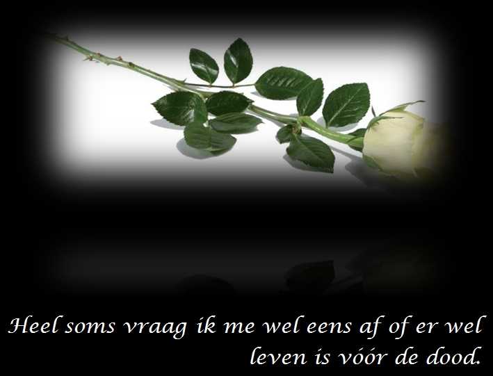 De Duizend Quotes - 0624