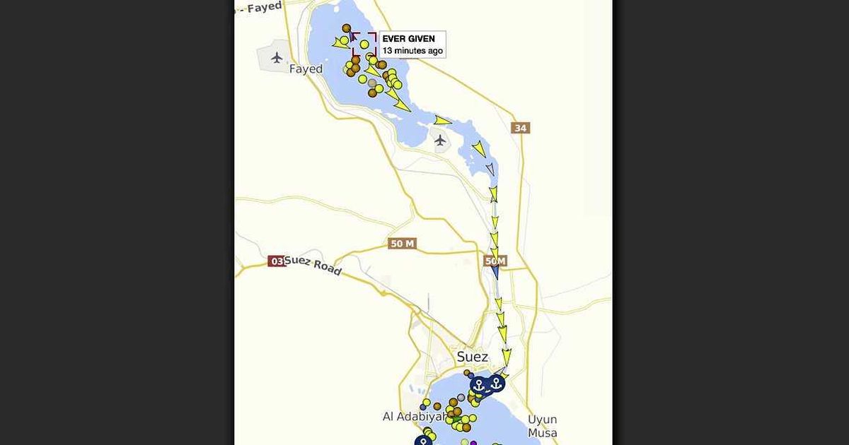 Sliert schepen eindelijk door het Suezkanaal: dieren mogen eerst | Buitenland | Telegraaf.nl