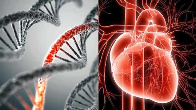 Dokter: Hartproblemen door mRNA-injecties "Zal de meeste mensen doden" - Frontnieuws