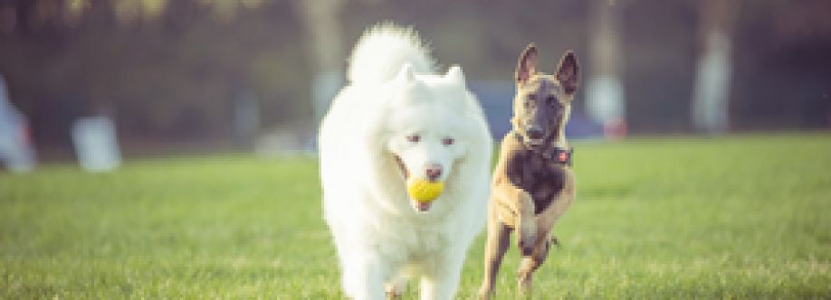 Hondenlosloop gebieden in NL en B Cover Image