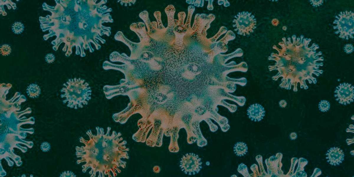Virologie - een wetenschap die niet is