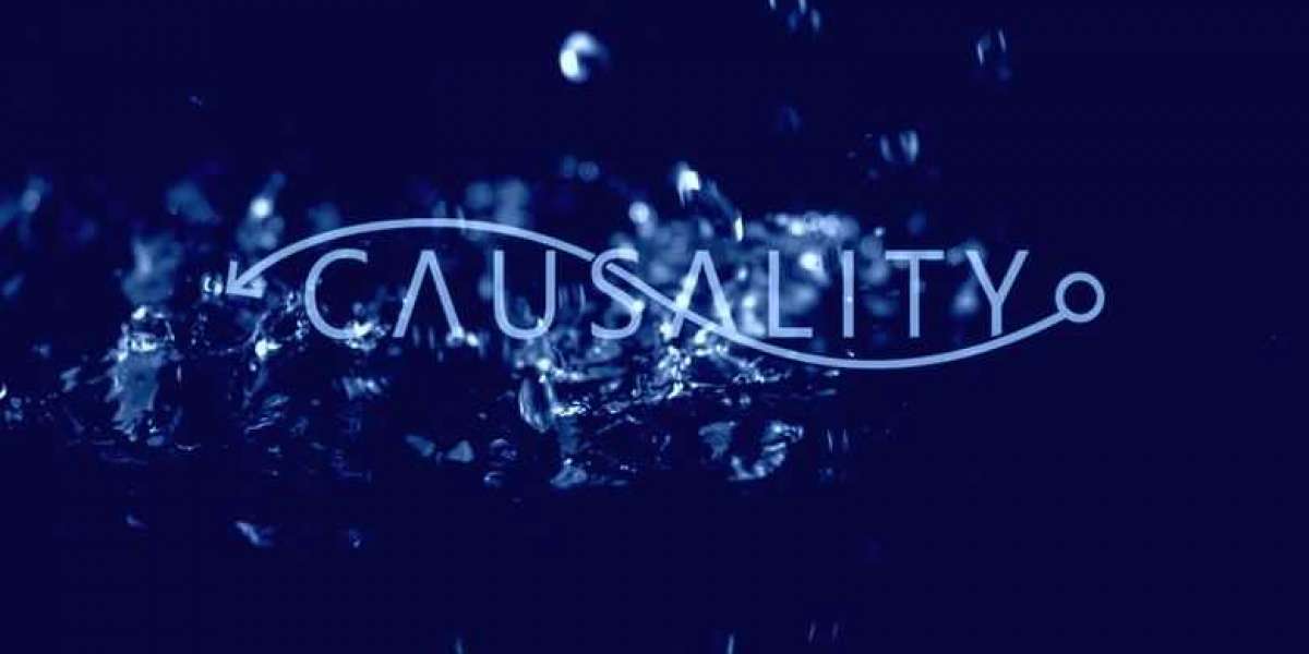 ~ CAUSALITY ~