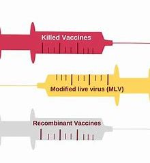 Genetische vaccins in dieren en voedselvoorziening, deel 3 - Voorwaarheid