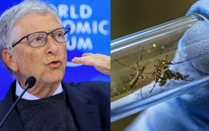 Peru roept noodtoestand uit nu er een Dengue-pandemie heerst nadat Bill Gates er miljoenen muggen los heeft gelaten - Dissident.one