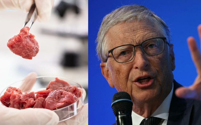 Florida gaat het in het laboratorium gekweekte ‘vlees’ van Bill Gates verbieden - Dissident.one