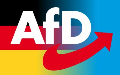 Nieuw onderzoek: AfD nu de populairste partij bij jonge mensen onder de 30 jaar! | E.J. Bron