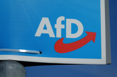 AfD: ondanks alles de op een na grootste partij | E.J. Bron