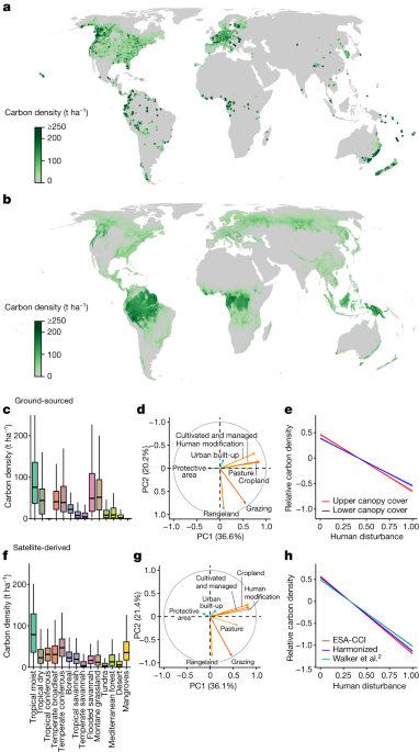 Integrated global assessment of the natural forest carbon potential | Nature