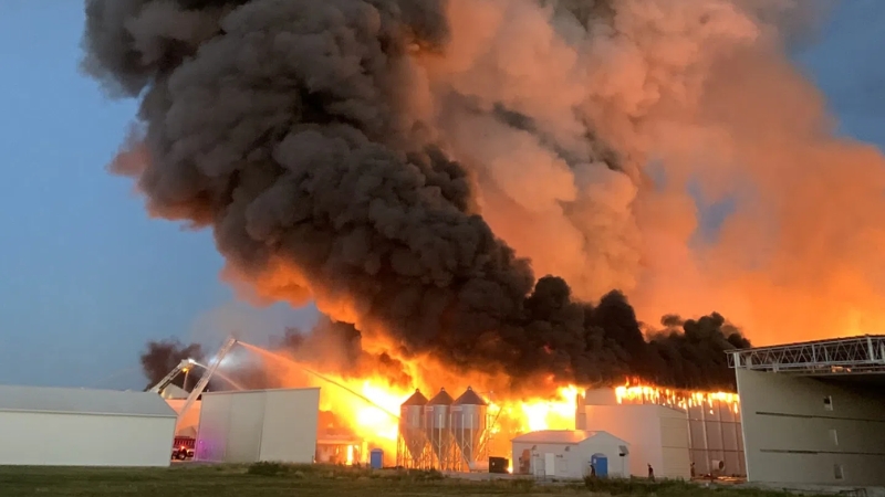 One of the US’s Largest Chicken Farms Goes Up in Flames