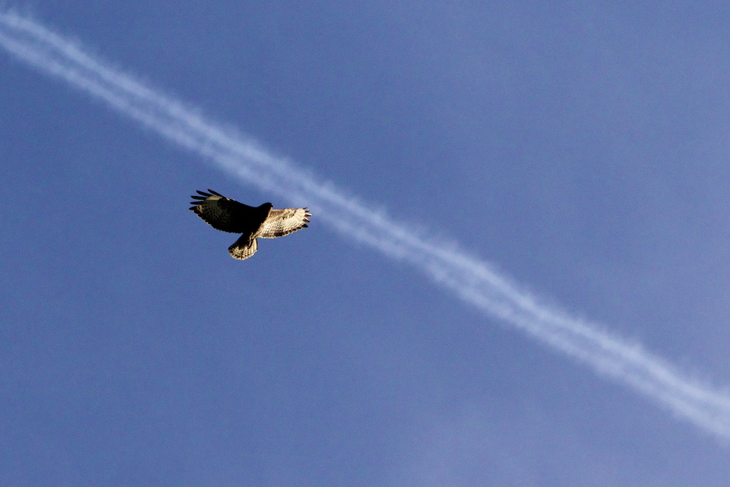 Geo-Engineering Leeft! Maar gebeurt het ook hier? – Interessante Tijden