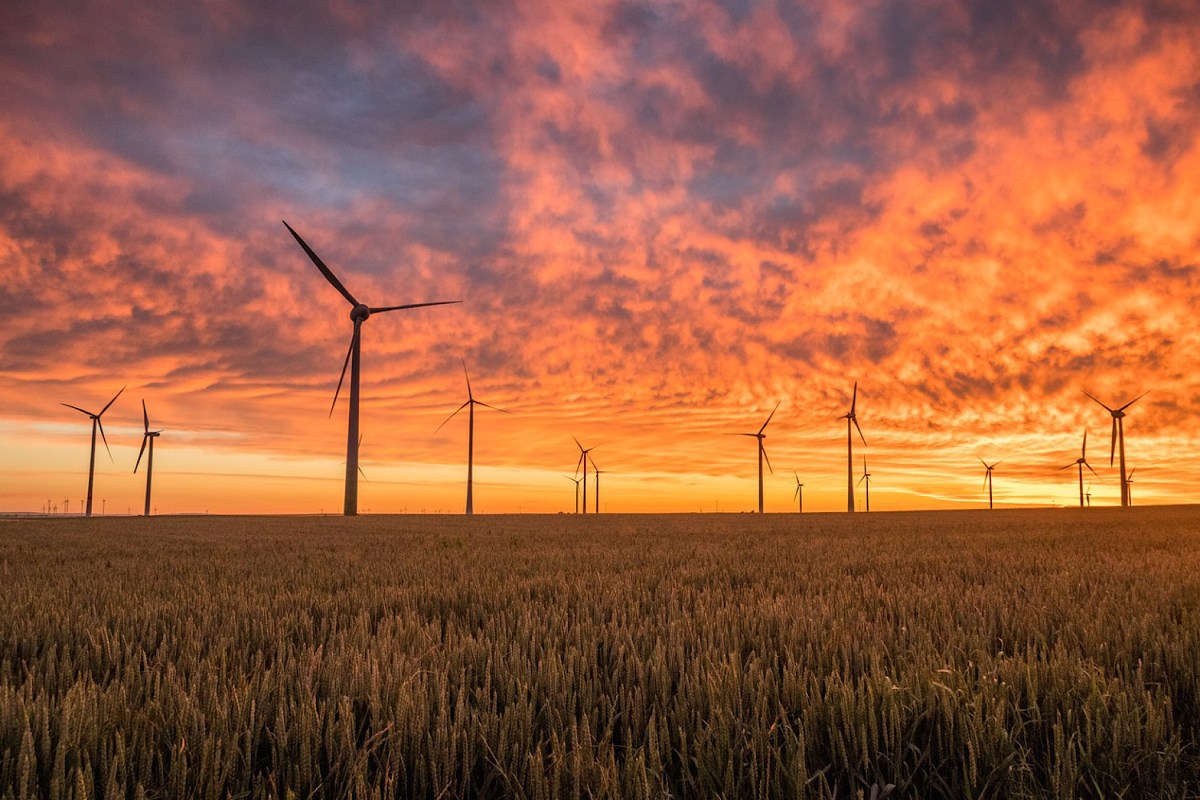 OpinieZ Smeekbede aan het nieuwe kabinet: stop met windenergie!