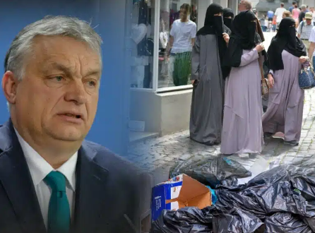 Victor Orbán: “Ik herken Duitsland niet terug” | E.J. Bron