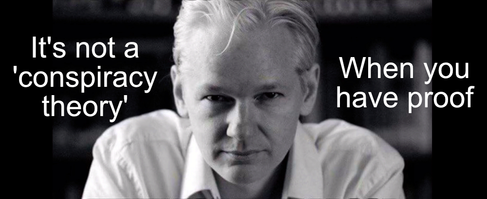 Julian Assange Is Vrijj INDIGNATIE AI & Politiek