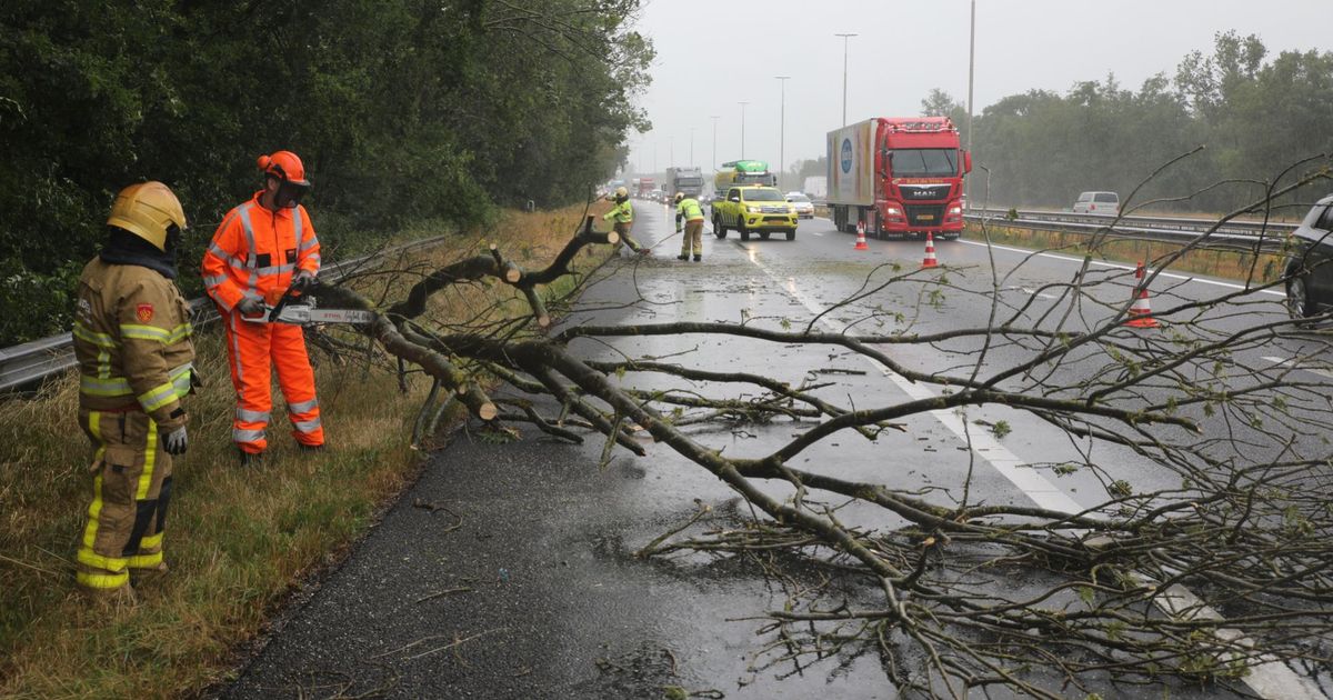 Noodweer verwacht: KNMI schaalt op naar code oranje - Omroep Gelderland