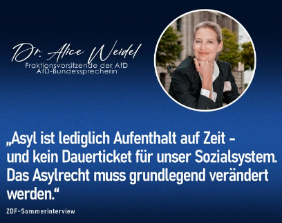 CITAAT van Alice Weidel (AfD) | E.J. Bron