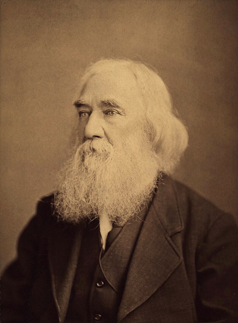 De ongeldigheid van wetten en het verschil tussen regering en struikrovers – Lysander Spooner 150 jaar geleden | HOME | DeBataafscheCourant