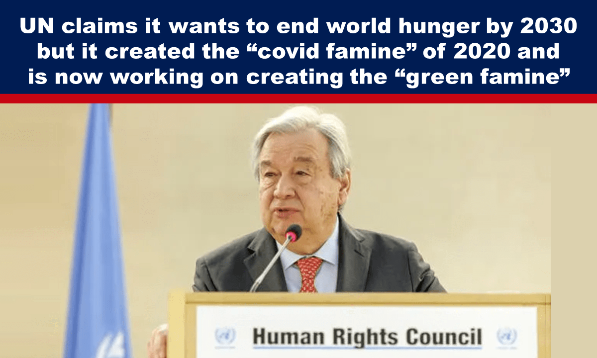 UN claims it wants to end world hunger by 2030 but it created the “covid famine” of 2020 and is now working on creating the “green famine” – The Expose