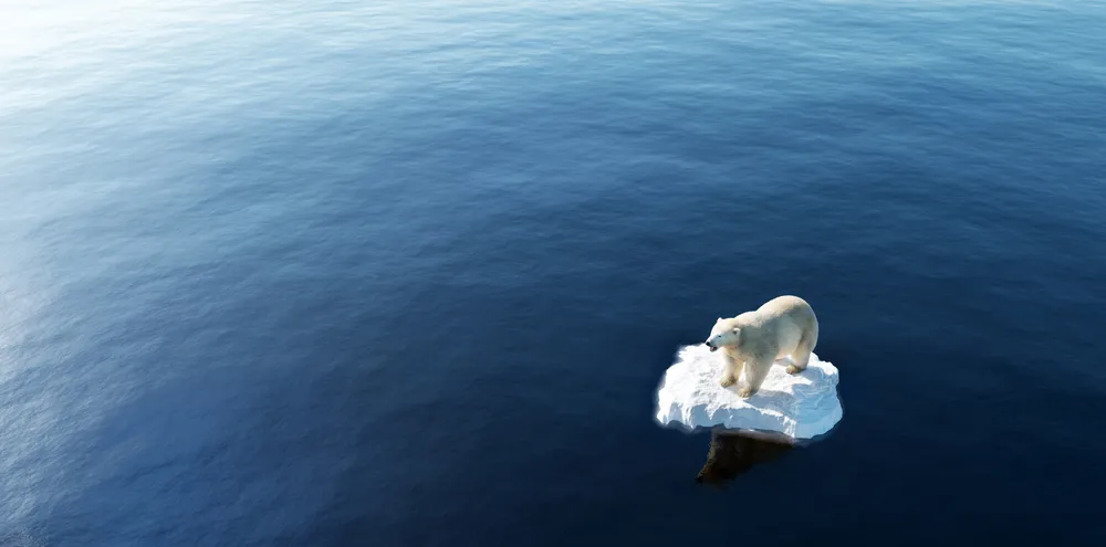 Rampscenario zeespiegelstijging? Fabeltjes! Antarctica brokkelt langzamer af dan gedacht