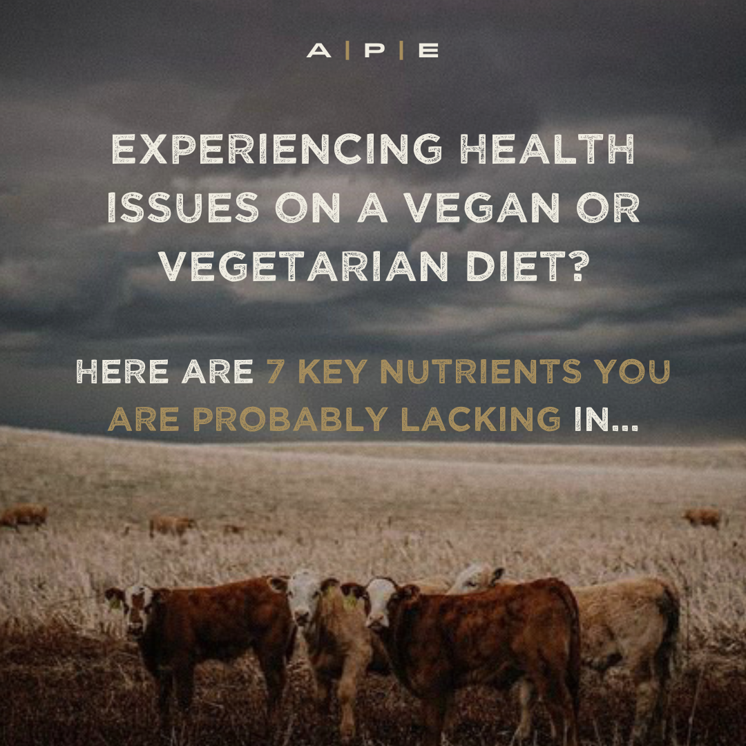 How Do I Replenish My Body After Being Vegan or Vegetarian? – APE Nutrition Ltd