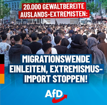 Tweet van de AfD | E.J. Bron