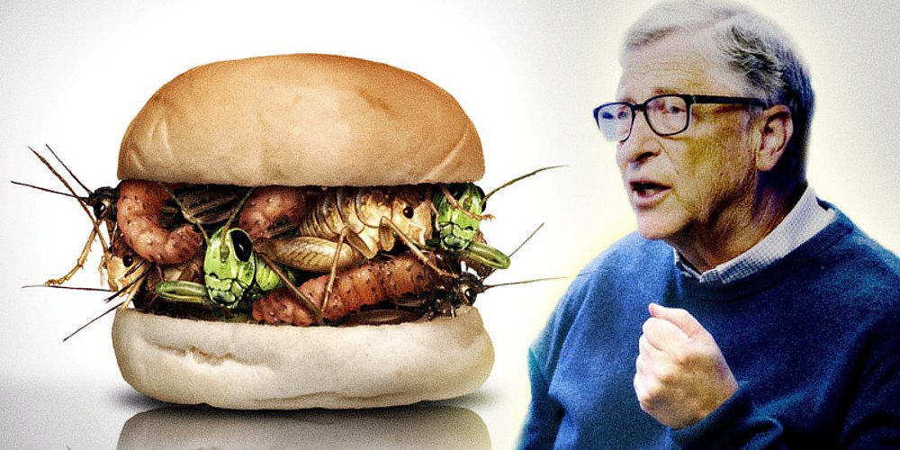 All Things Bugs: Bill Gates, U.S. Military Among Investors in GMO Insect Protein for Humans | Prepper Beef