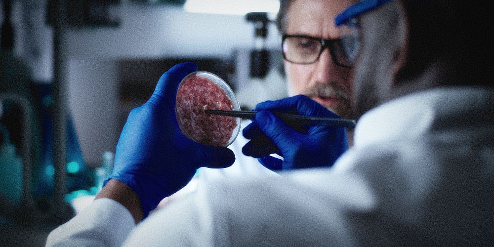 Scientific "Breakthrough" Makes Lab-Grown "Meat" Sort of Taste Like Real Beef | Prepper Beef