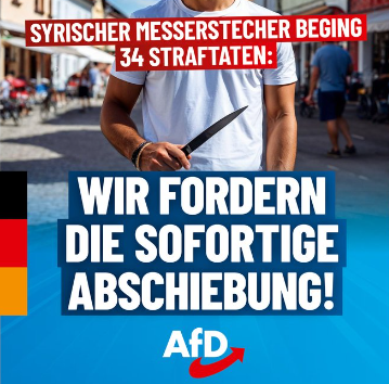 Tweet van de AfD | E.J. Bron