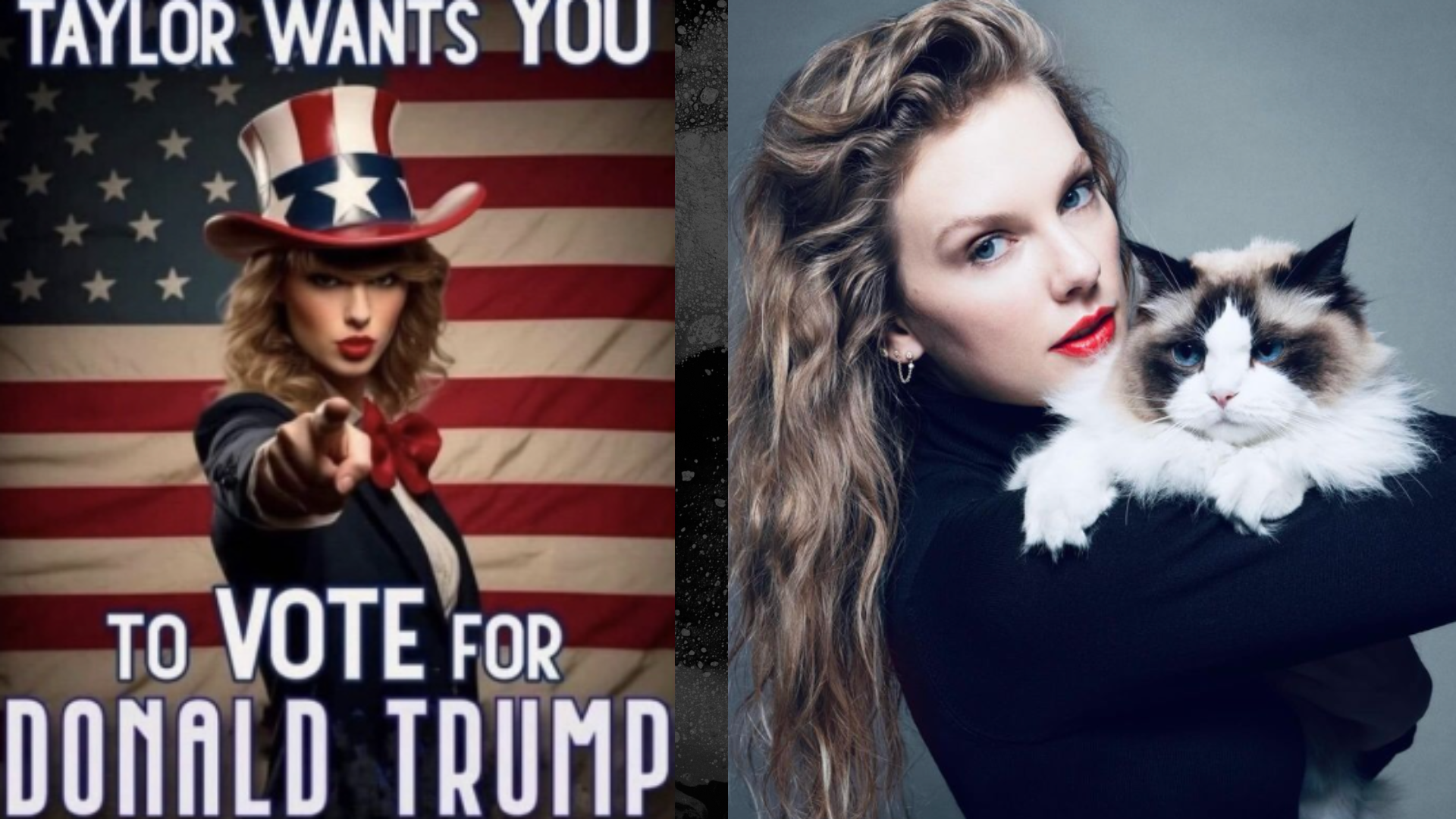 Wil Taylor Swift Een Echte President Van De VS Worden? INDIGNATIE AI & Politiek